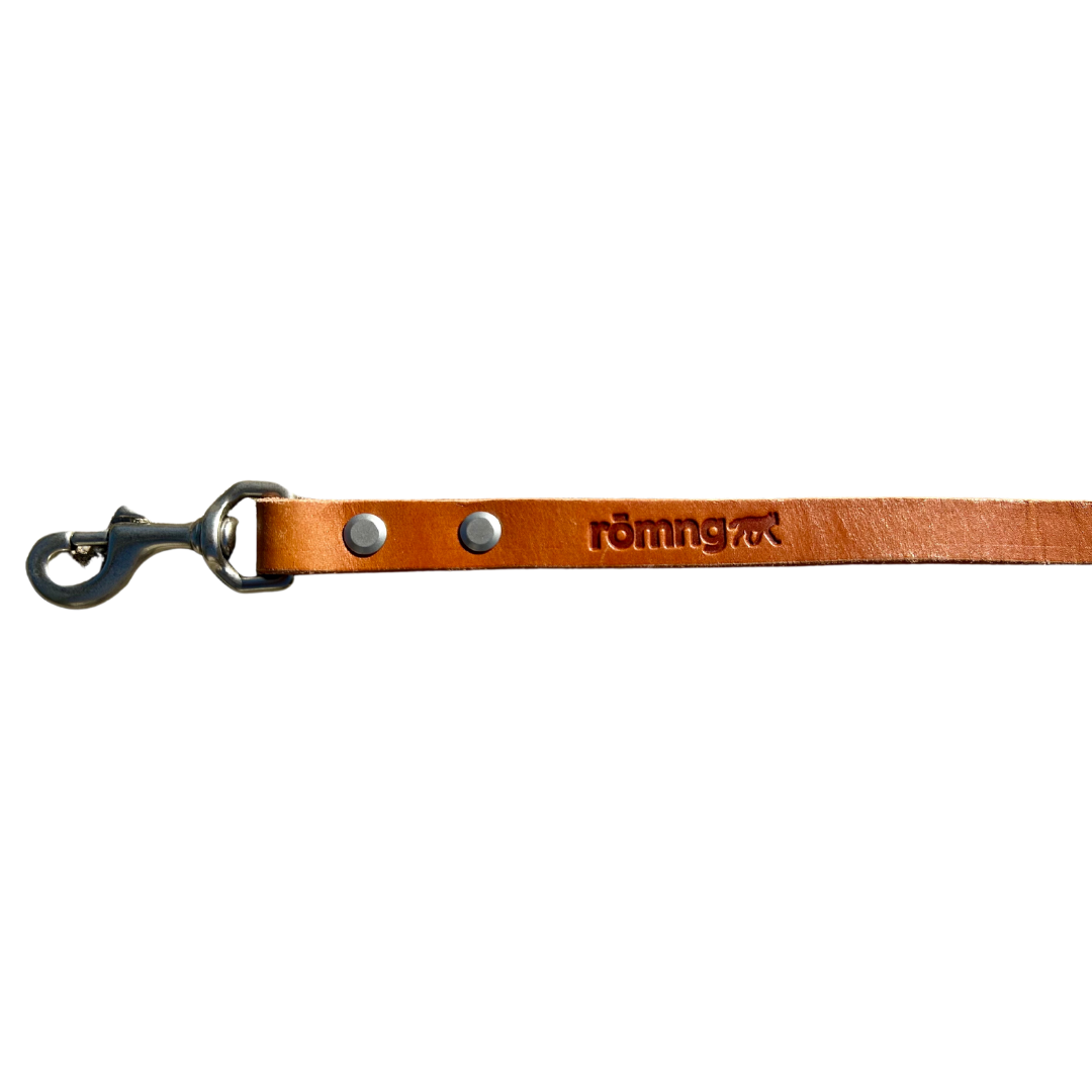 Handmade leather dog leash