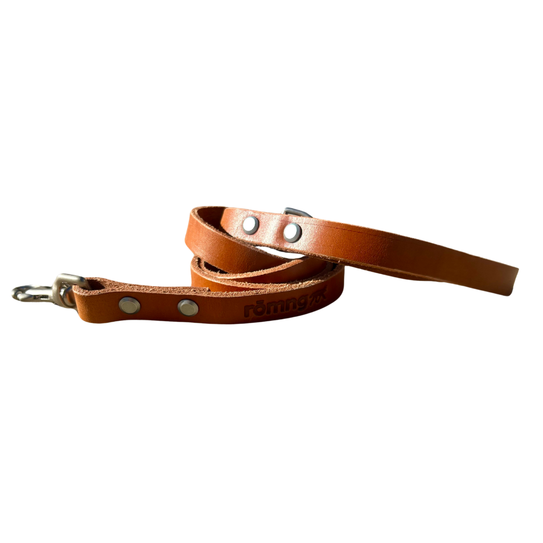 Handmade leather dog leash