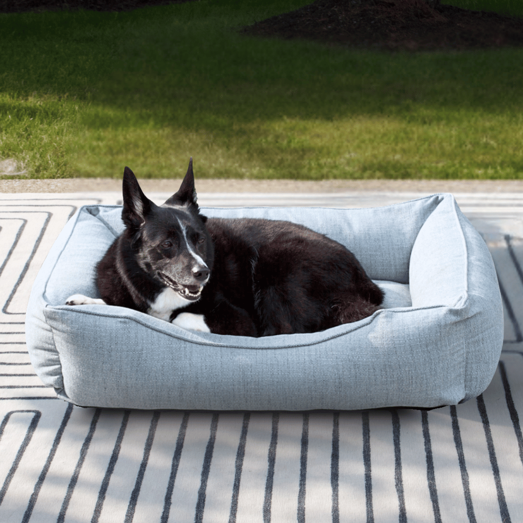 The Sammy Dog Bed
