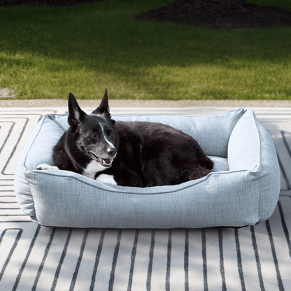 The Sammy Dog Bed