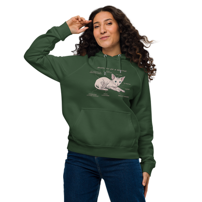 "ANATOMY OF A SPHYNX" WOMEN'S ECO HOODIE