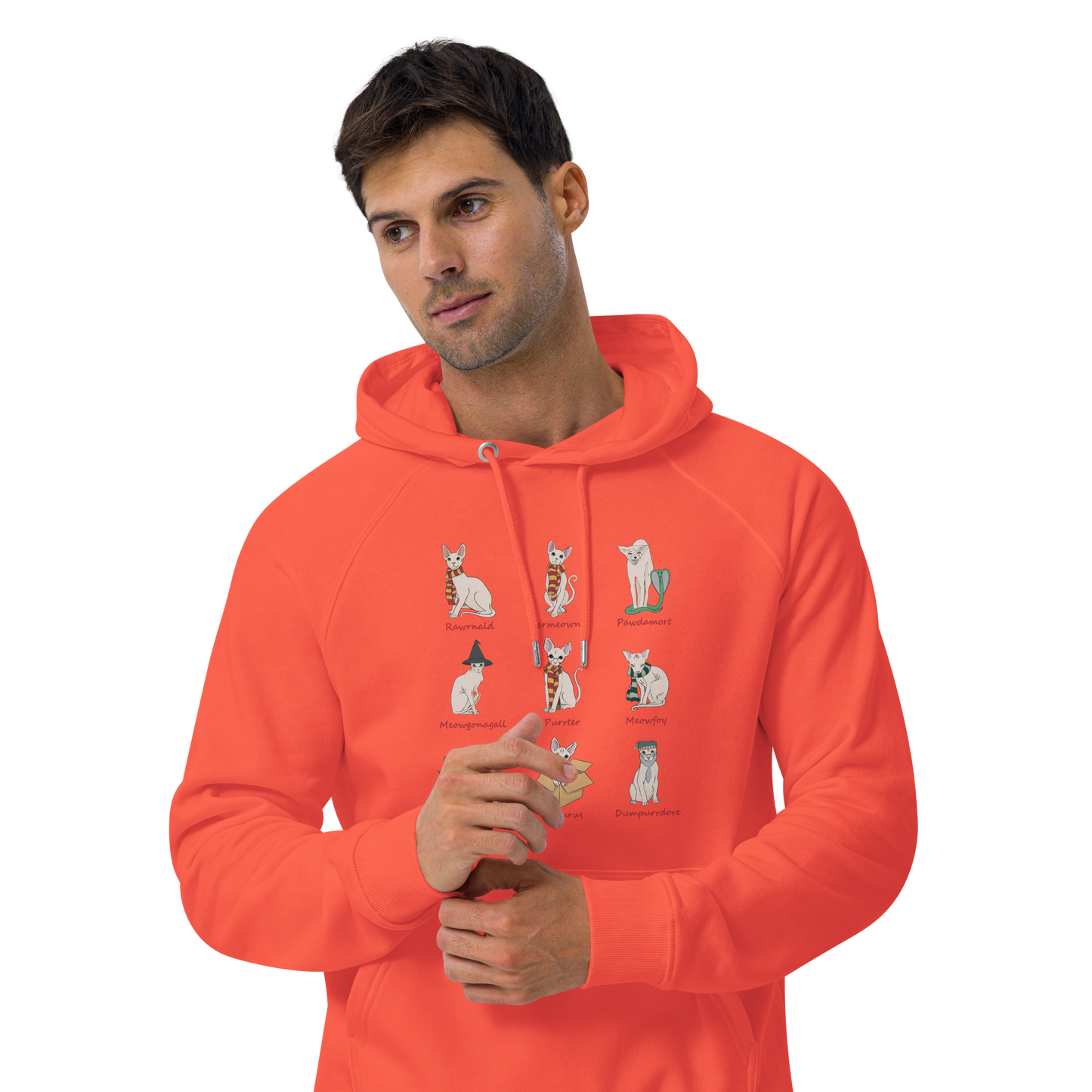 "HARRY POTTER SPHYNX" UNISEX HOODIE