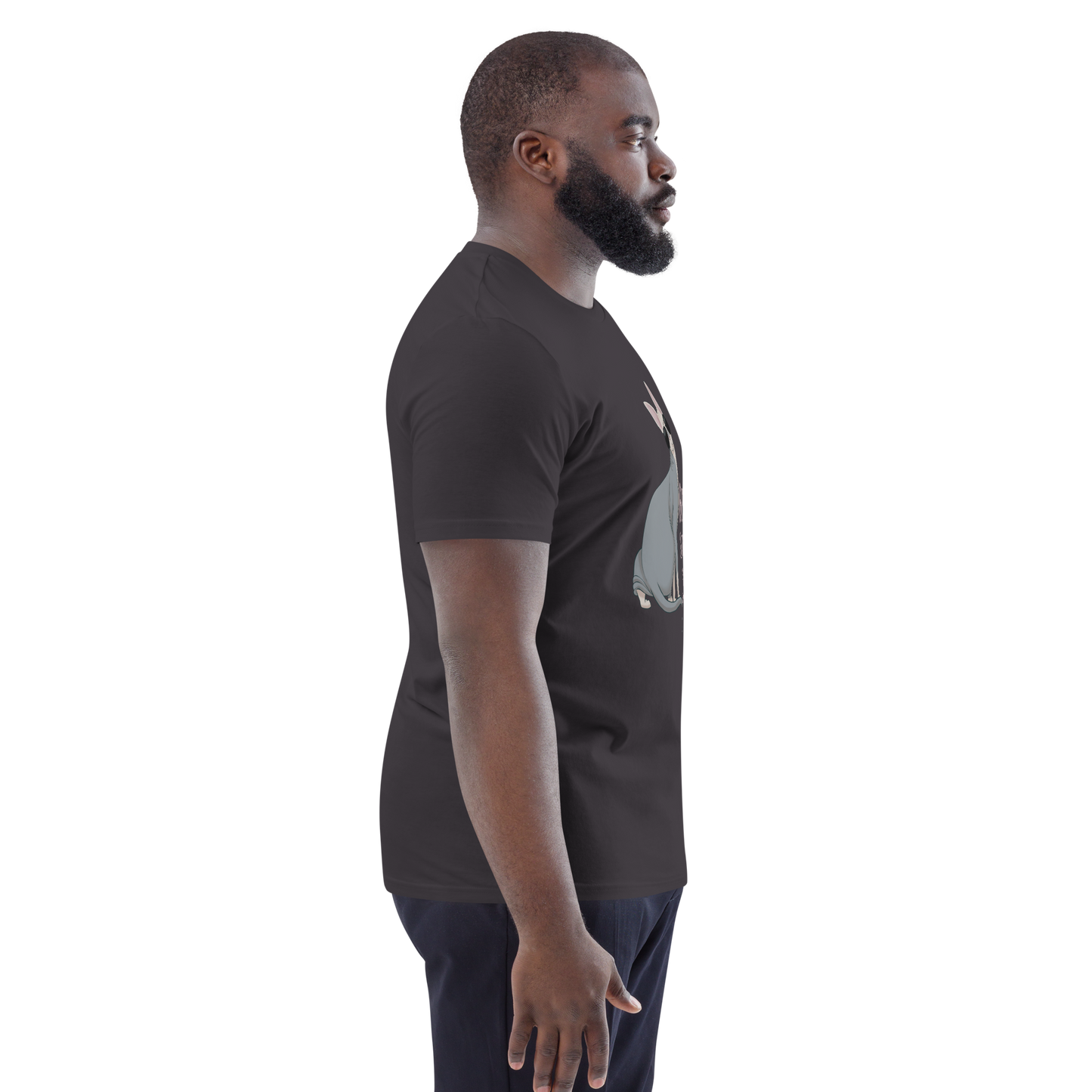 "BEST SPHYNX CAT DAD" UNISEX ECO TEE