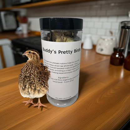 Bird Dog Training Quail - Premium Freeze-Dried Whole Quail for Dogs 5ct, Large (Chick) - Natural Prey Feeding Quality Protein Pet Treats